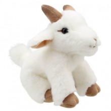 Time for Stories: Goat (Medium) Time for Stories: Goat (Medium)